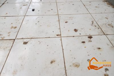condition-of-the-property-12-factors-affecting-the-duration-of-professional-move-out-cleaning-in-singapore-move-out-cleaning-handover-haus-singapore