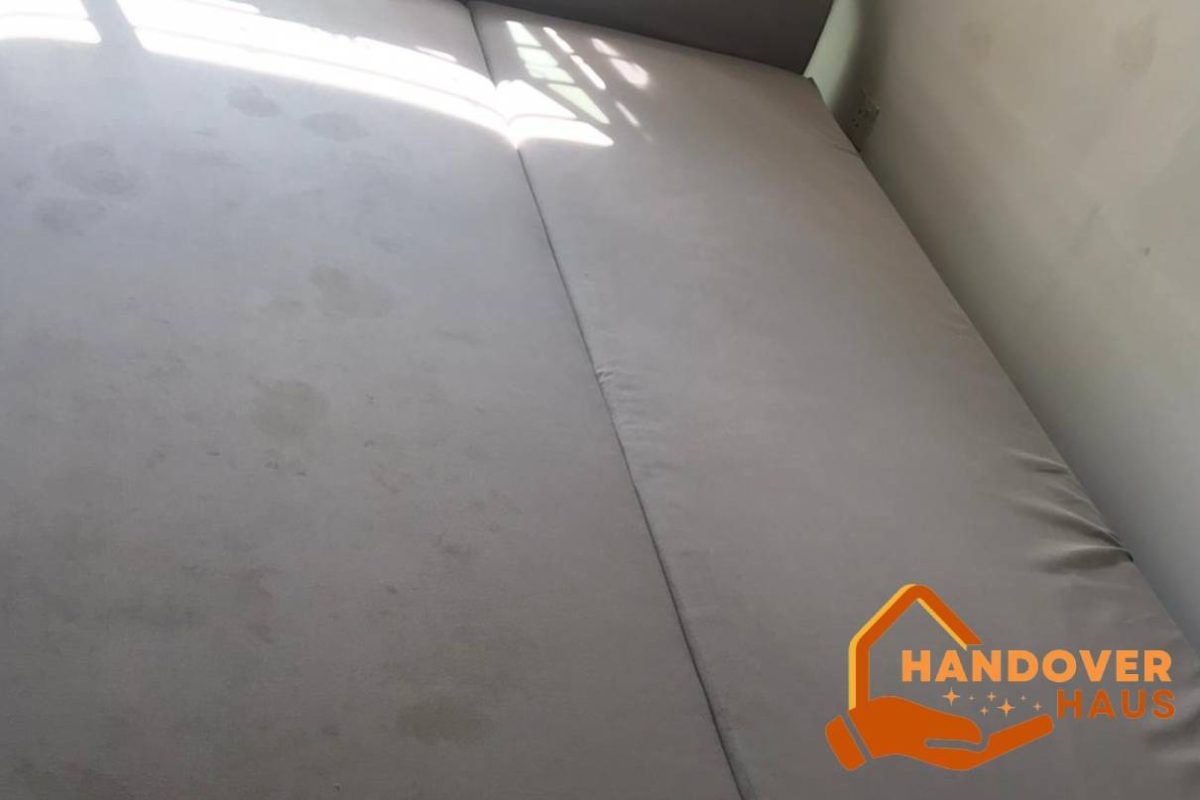 sofa-cleaning-services-handover-haus-singapore-hdb-punggol-2 sofa-cleaning-services-handover-haus-singapore-hdb-punggol-2